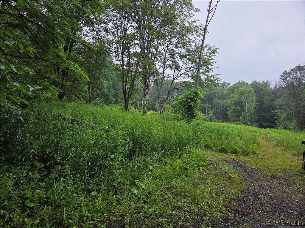 21 Acres of Recreational & Residential Land for Sale in Holland, New York