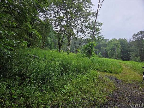 21 Acres of Recreational & Residential Land for Sale in Holland, New York