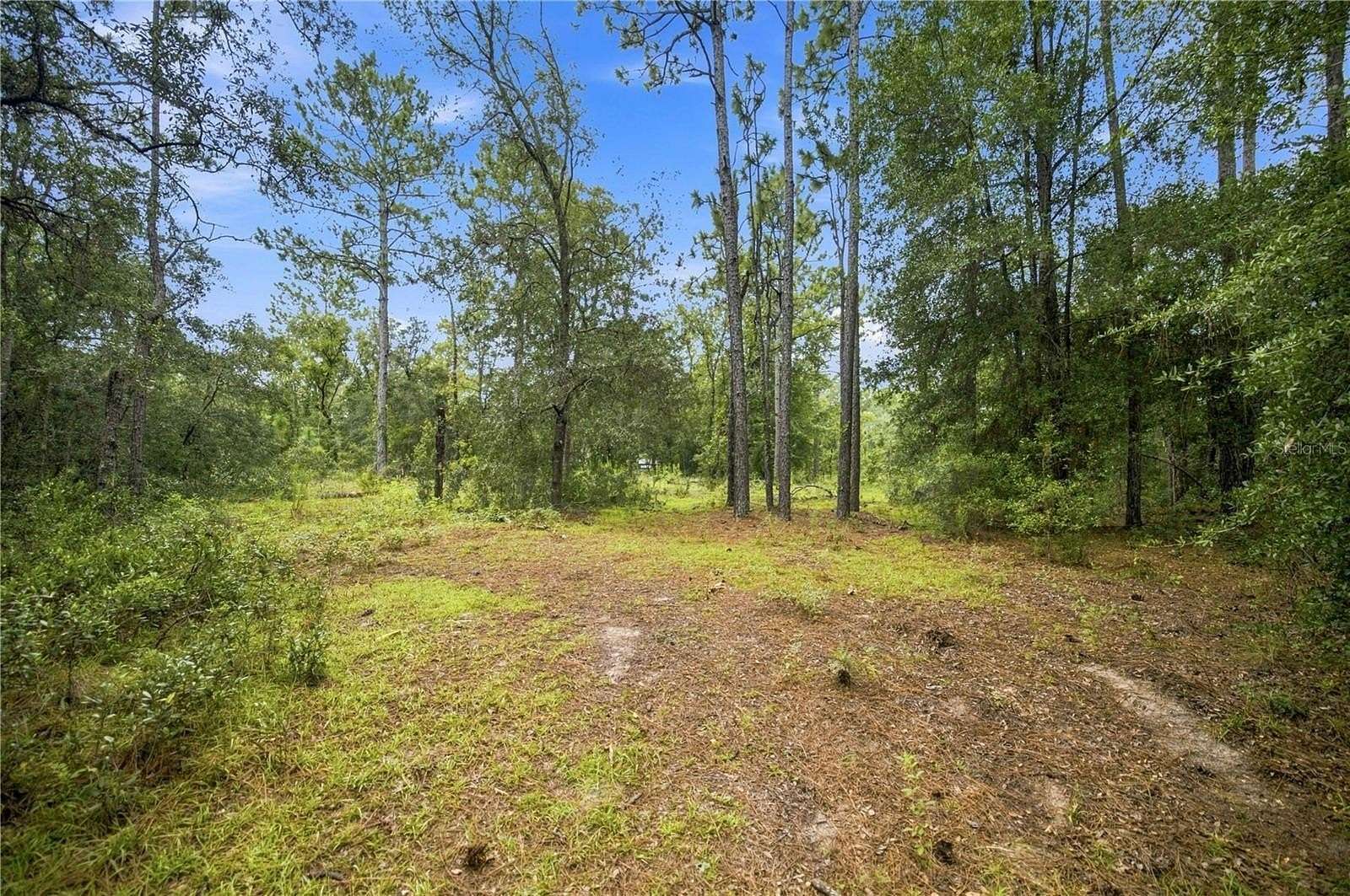 1.25 Acres of Residential Land for Sale in Morriston, Florida