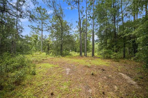 1.25 Acres of Residential Land for Sale in Morriston, Florida