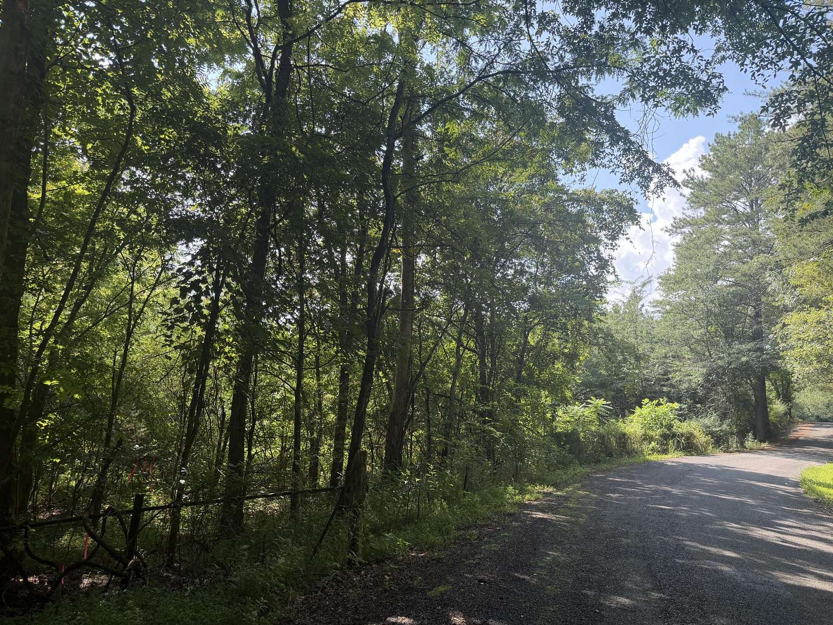 9.58 Acres of Residential Land for Auction in Calhoun, Tennessee