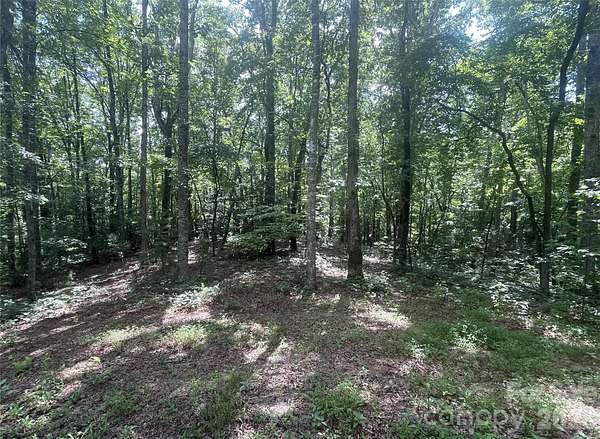 47.9 Acres of Recreational & Residential Land for Sale in Bryson City, North Carolina