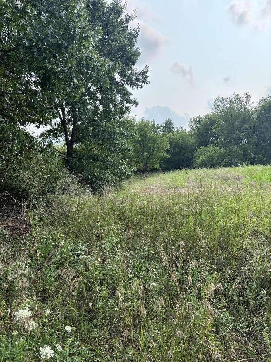 11.8 Acres of Land for Sale in Brooklyn, Michigan