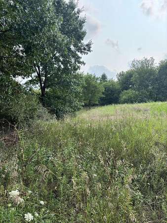 11.8 Acres of Land for Sale in Brooklyn, Michigan
