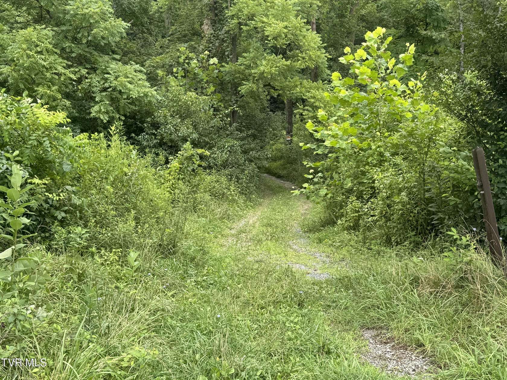 3 Acres of Land for Sale in Meadowview, Virginia