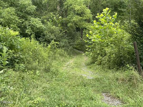 3 Acres of Land for Sale in Meadowview, Virginia