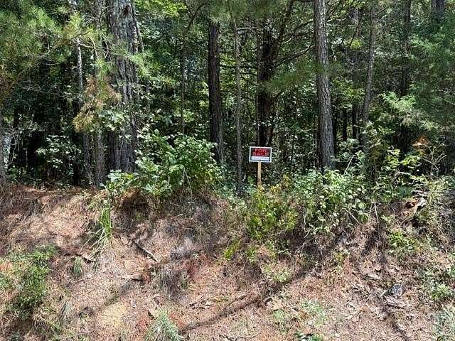 2.5 Acres of Residential Land for Sale in Taylorsville, Georgia