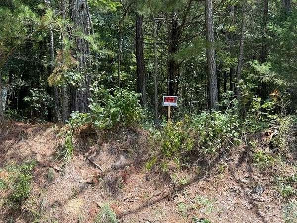 2.5 Acres of Residential Land for Sale in Taylorsville, Georgia