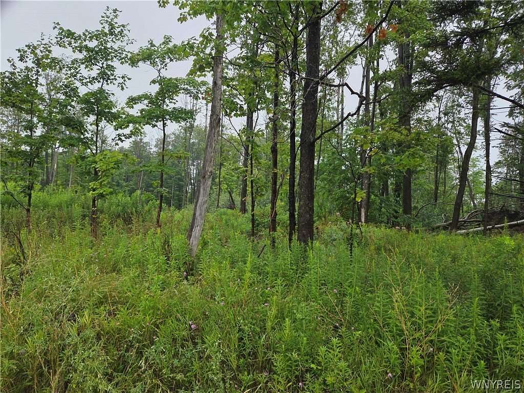 18.3 Acres of Recreational & Residential Land for Sale in Colden, New York