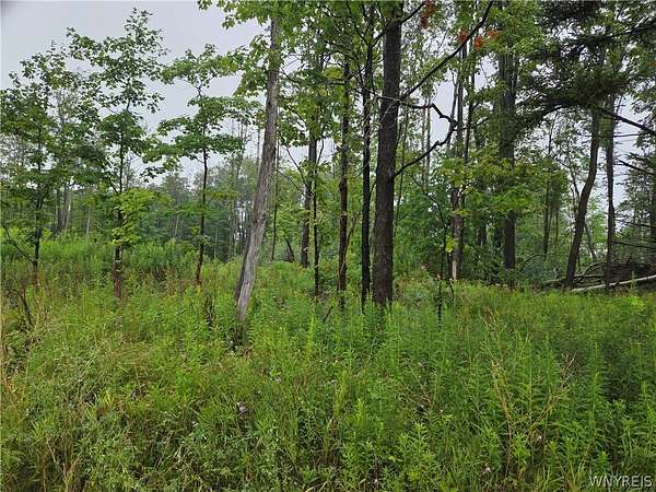 18.3 Acres of Recreational & Residential Land for Sale in Colden, New York