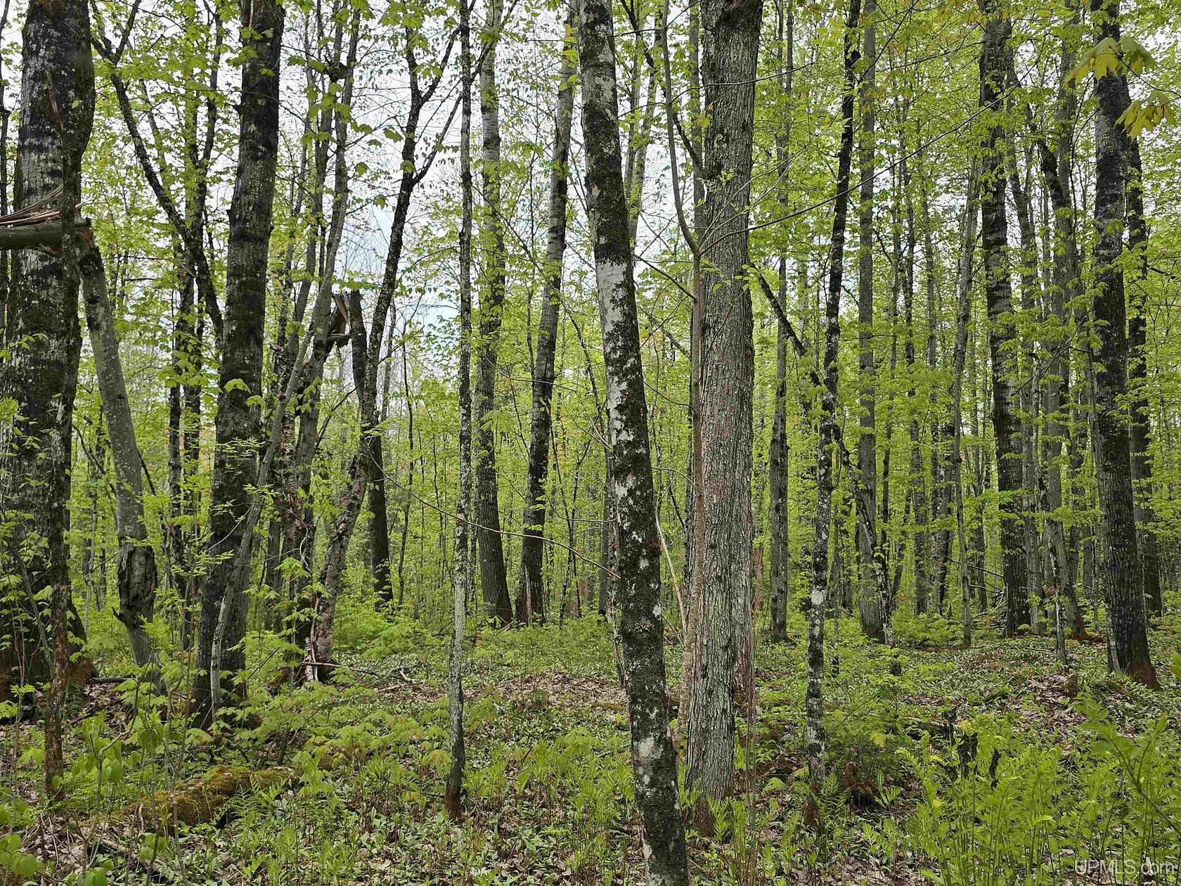 10.7 Acres of Recreational Land for Sale in Nisula, Michigan