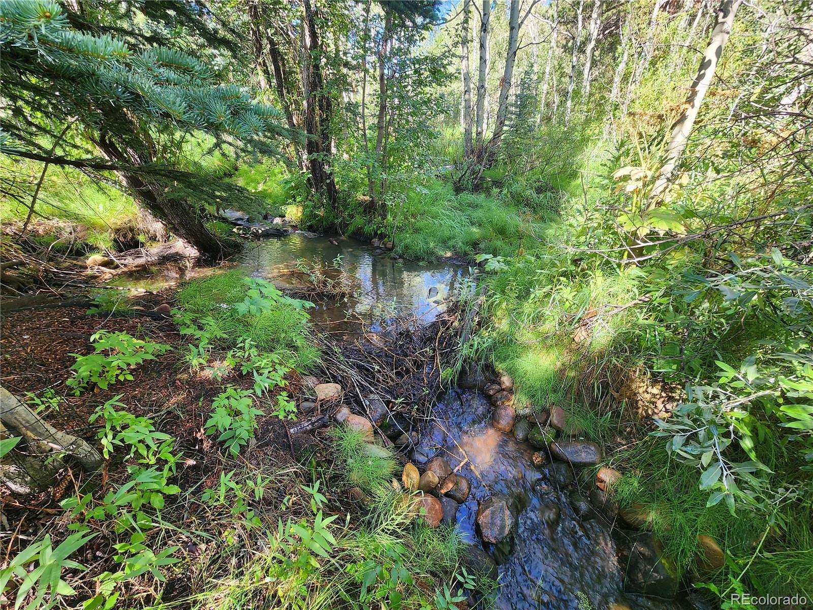 1.17 Acres of Residential Land for Sale in Nederland, Colorado