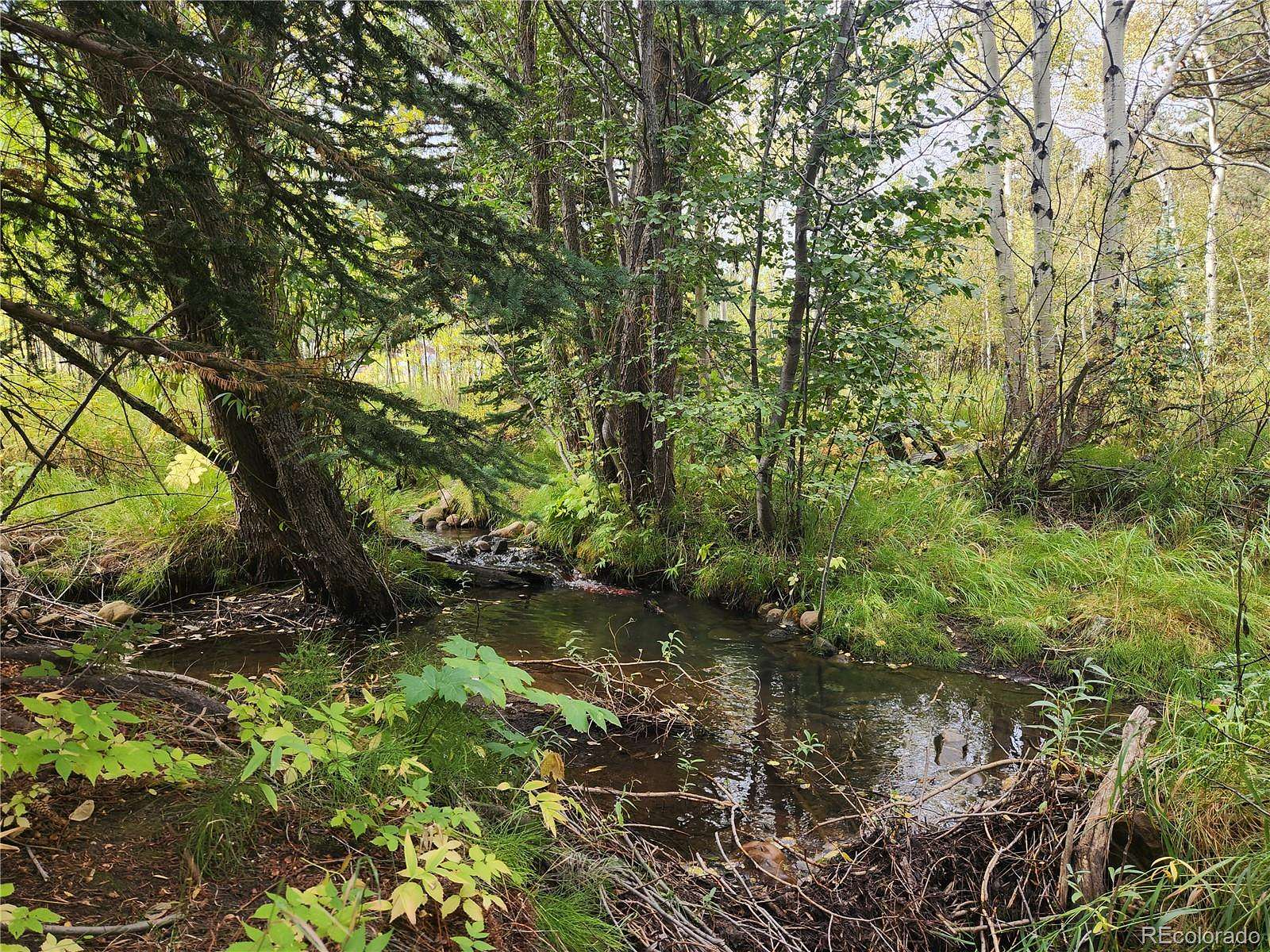 1.17 Acres of Residential Land for Sale in Nederland, Colorado