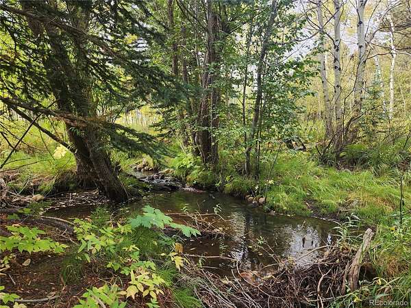 1.17 Acres of Residential Land for Sale in Nederland, Colorado