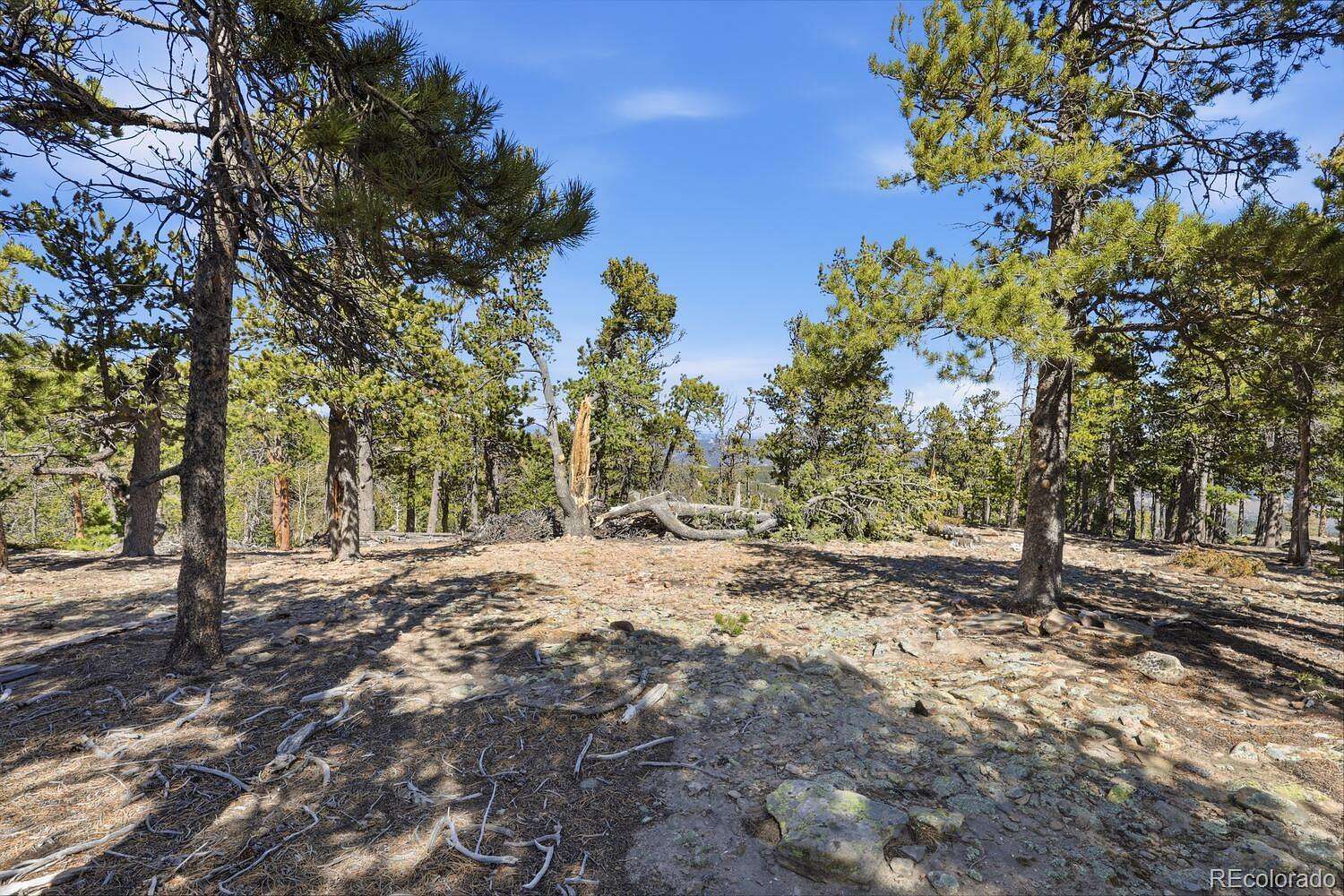 1.1 Acres of Residential Land for Sale in Golden, Colorado