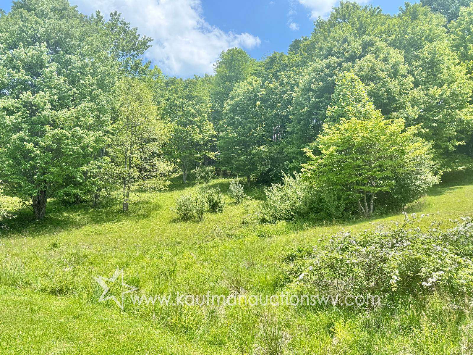 1.19 Acres of Residential Land for Auction in Buckhannon, West Virginia