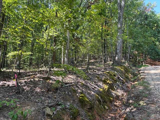 11 Acres of Recreational & Residential Land for Sale in Owens Cross Roads, Alabama