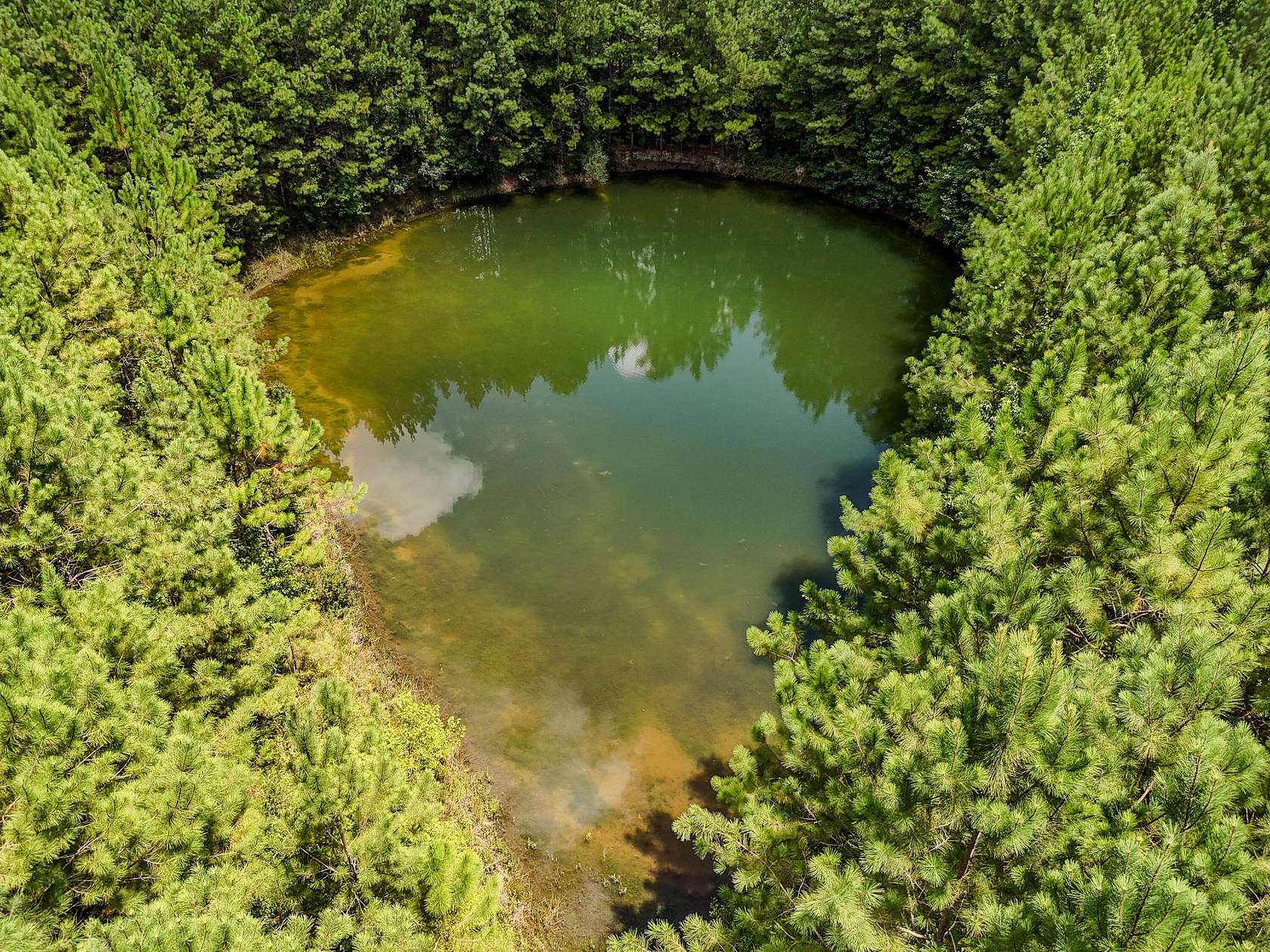 27.8 Acres of Recreational Land for Sale in DeFuniak Springs, Florida