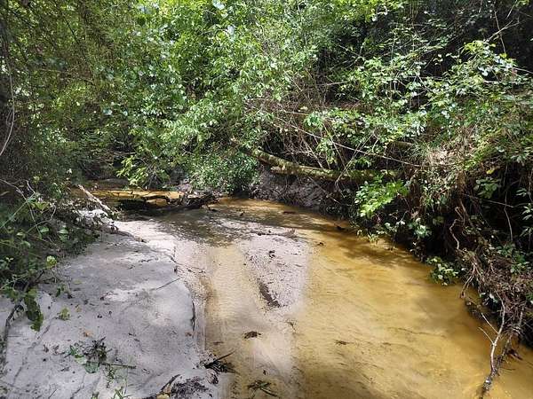 27.8 Acres of Recreational Land for Sale in DeFuniak Springs, Florida