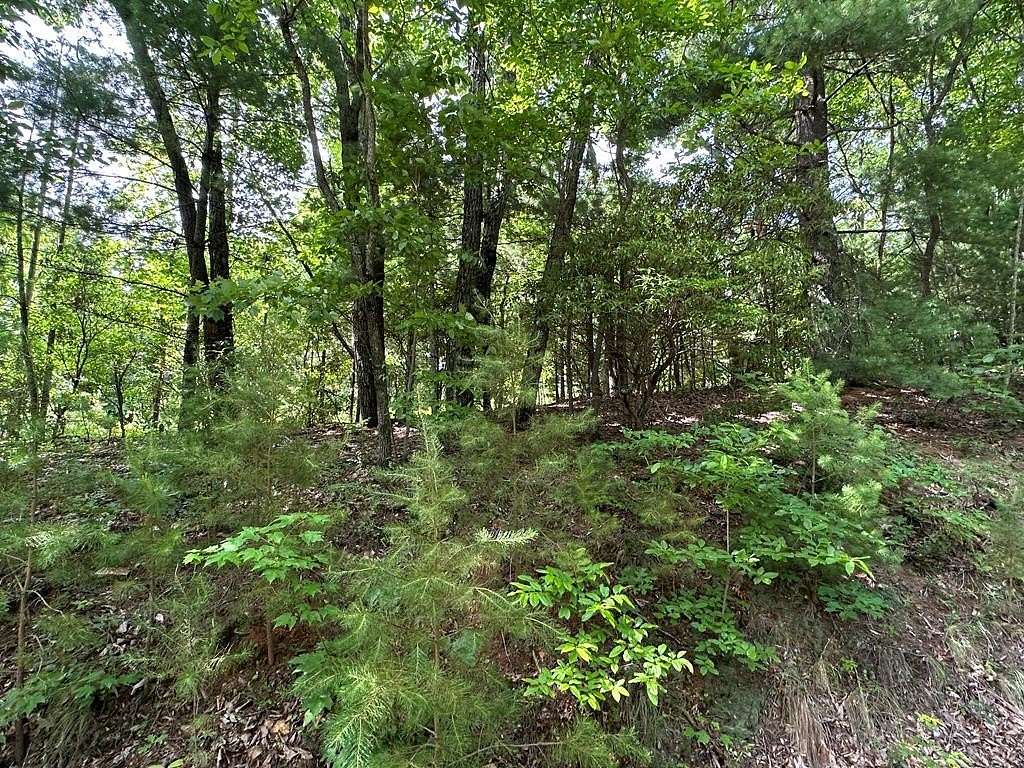 2.67 Acres of Land for Sale in Murphy, North Carolina