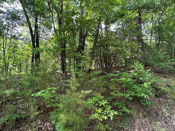 2.67 Acres of Land for Sale in Murphy, North Carolina