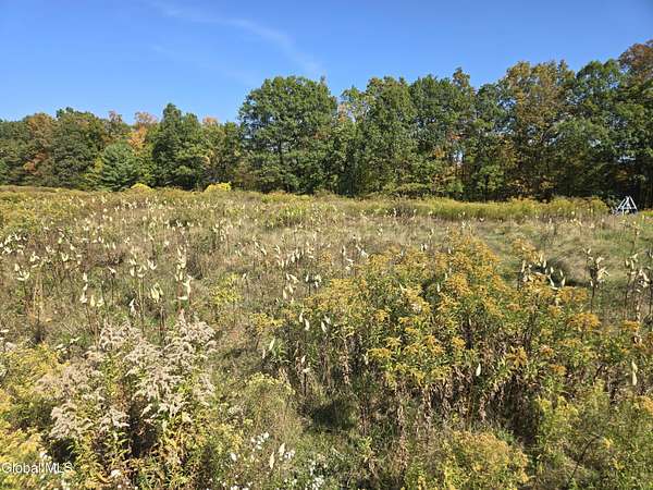 0.6 Acres of Land for Sale in Greenville, New York