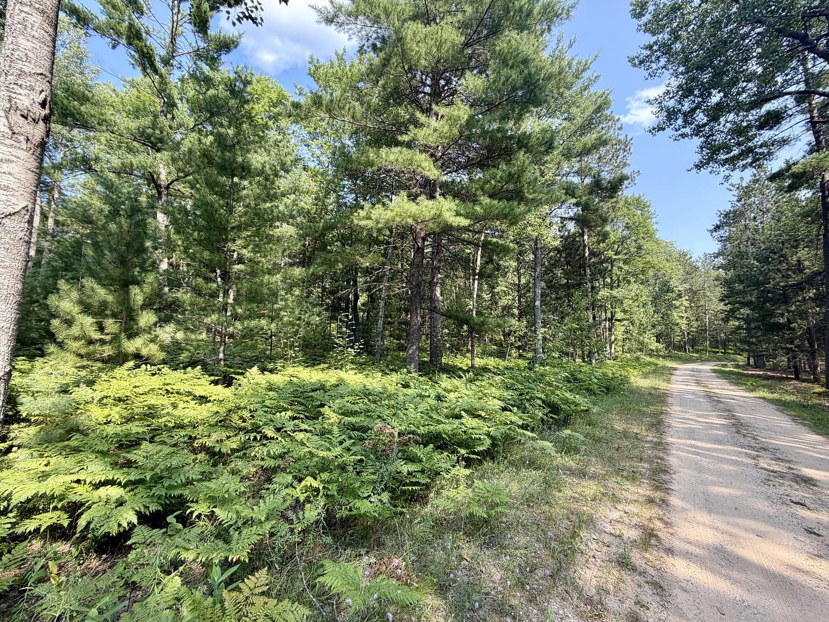 6.18 Acres of Residential Land for Sale in Vanderbilt, Michigan