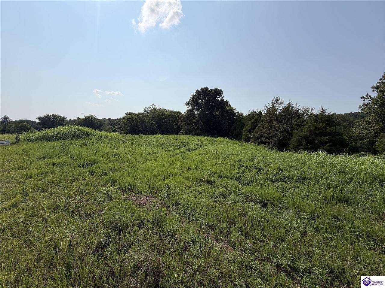 8.9 Acres of Residential Land for Sale in Glendale, Kentucky