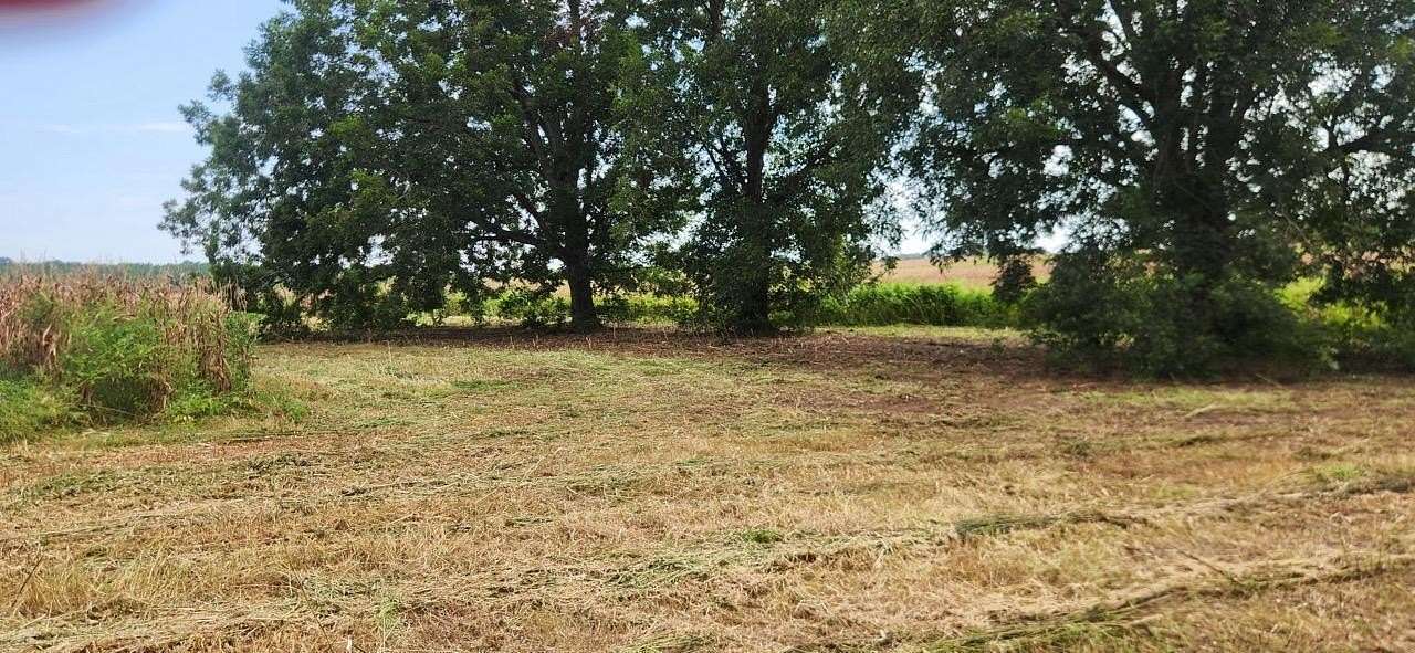 53.6 Acres of Land for Sale in Westville, Florida