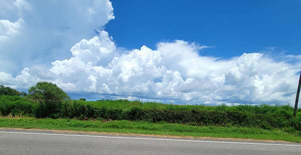 50.9 Acres of Land for Sale in Westville, Florida