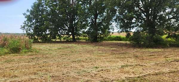 53.6 Acres of Land for Sale in Westville, Florida