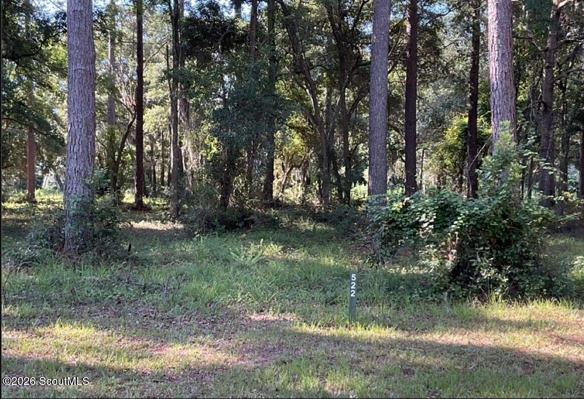 0.81 Acres of Residential Land for Sale in Townsend, Georgia