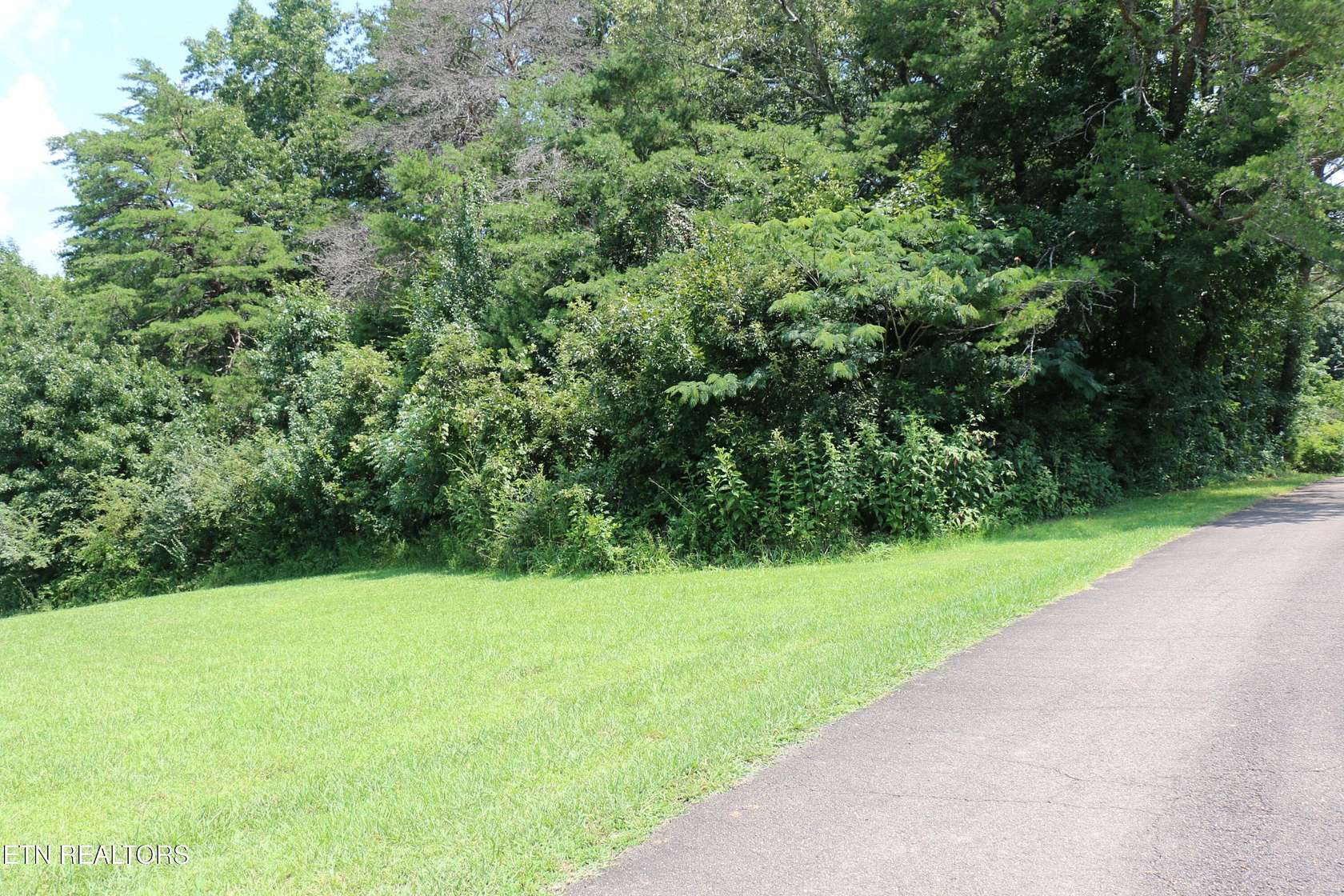 0.93 Acres of Residential Land for Sale in Etowah, Tennessee
