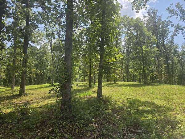 25.9 Acres of Land for Sale in Hurricane Mills, Tennessee