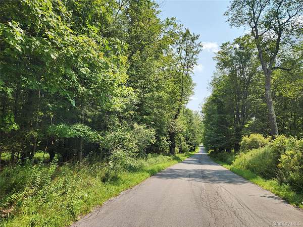 10 Acres of Land for Sale in Swan Lake, New York
