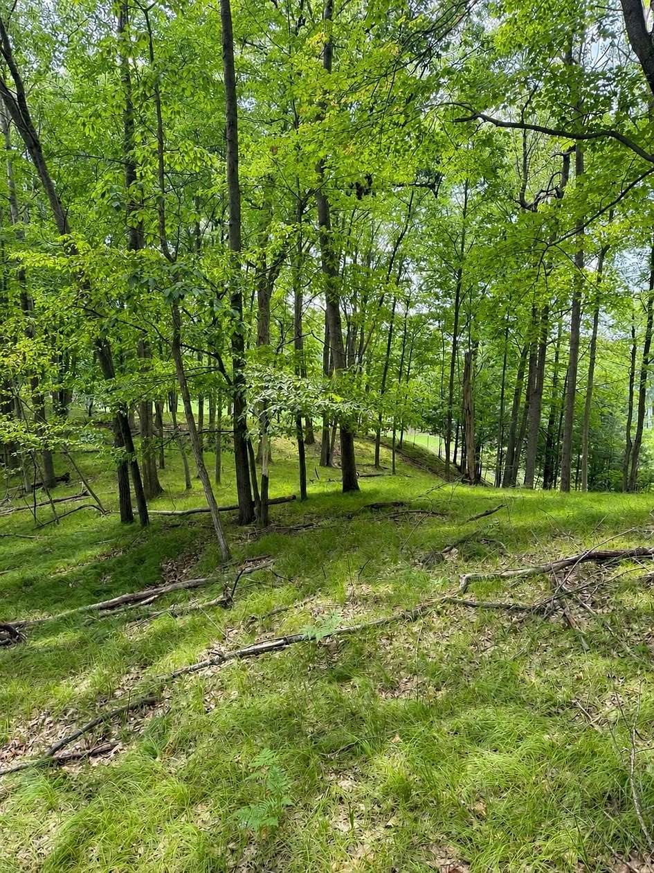 0.54 Acres of Residential Land for Sale in Canadian Lakes, Michigan
