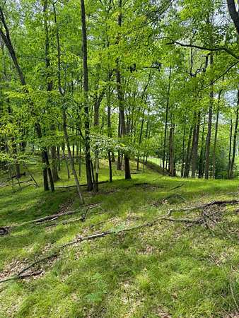 0.54 Acres of Residential Land for Sale in Canadian Lakes, Michigan