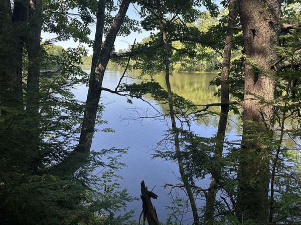 12 Acres of Land for Sale in Standish, Maine