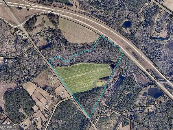 78.4 Acres of Land for Sale in Brooklet, Georgia