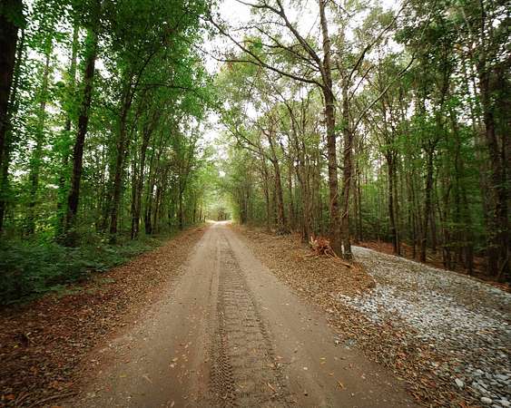 11.6 Acres of Recreational & Residential Land for Sale in Iva, South Carolina