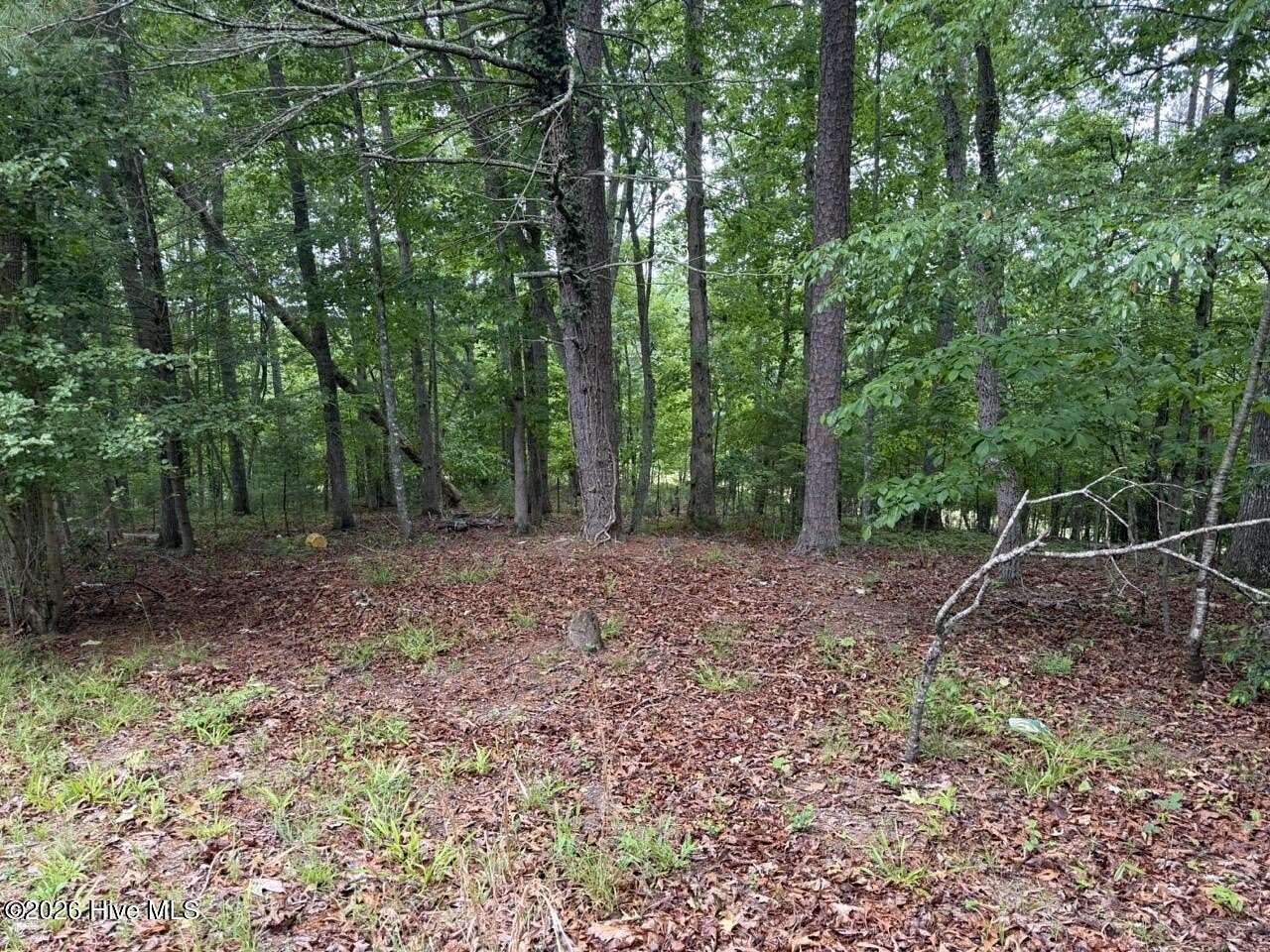 2 Acres of Residential Land for Sale in Murphy, North Carolina