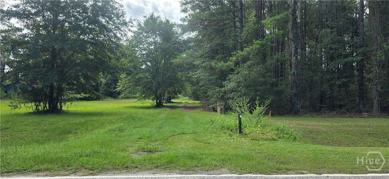 4.23 Acres of Residential Land for Sale in Clyo, Georgia