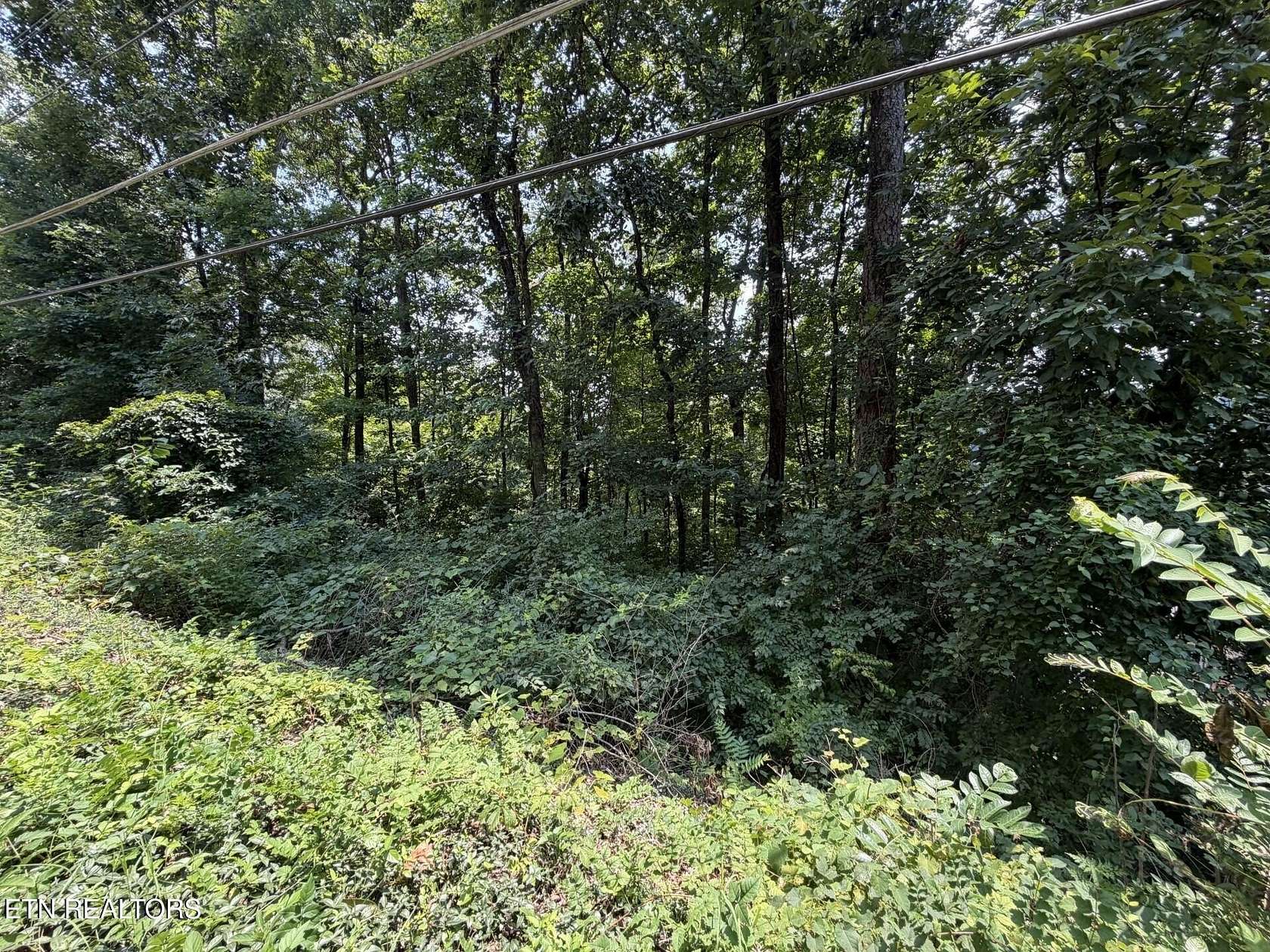 0.45 Acres of Residential Land for Sale in Knoxville, Tennessee