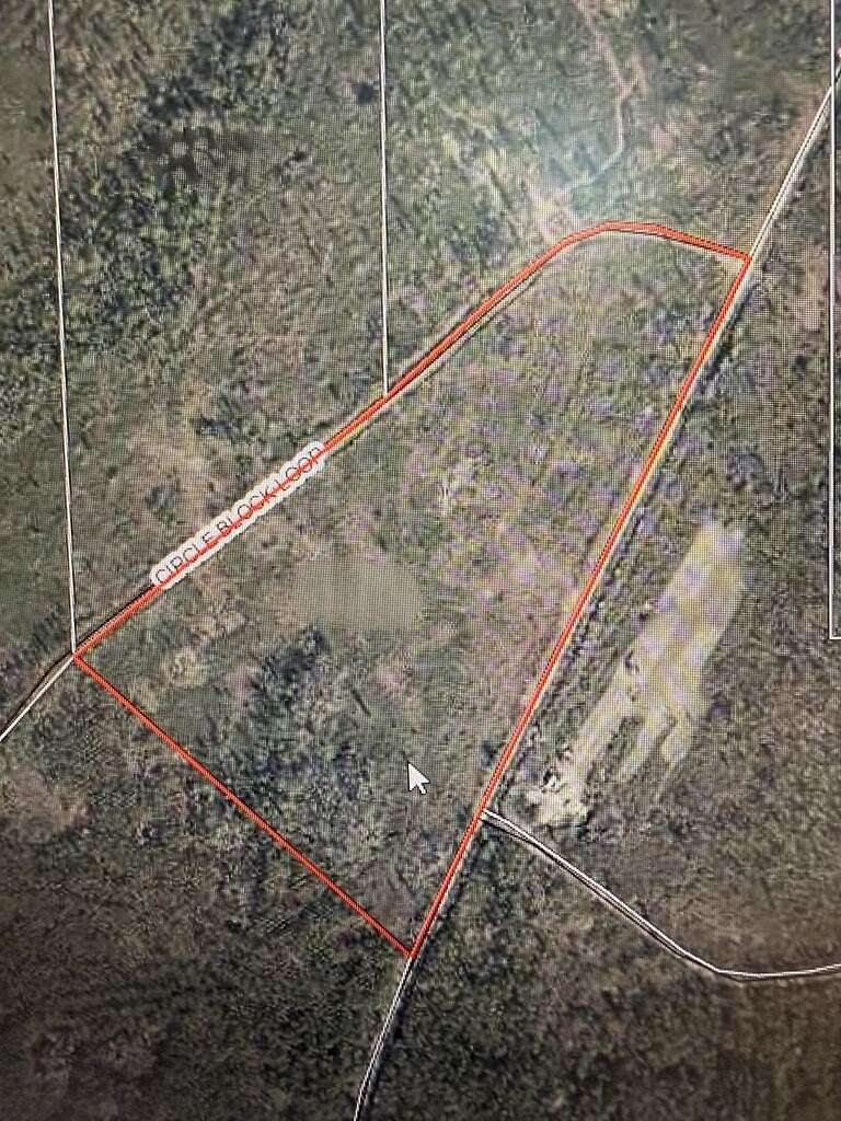 25.3 Acres of Recreational Land for Sale in Perry, Florida
