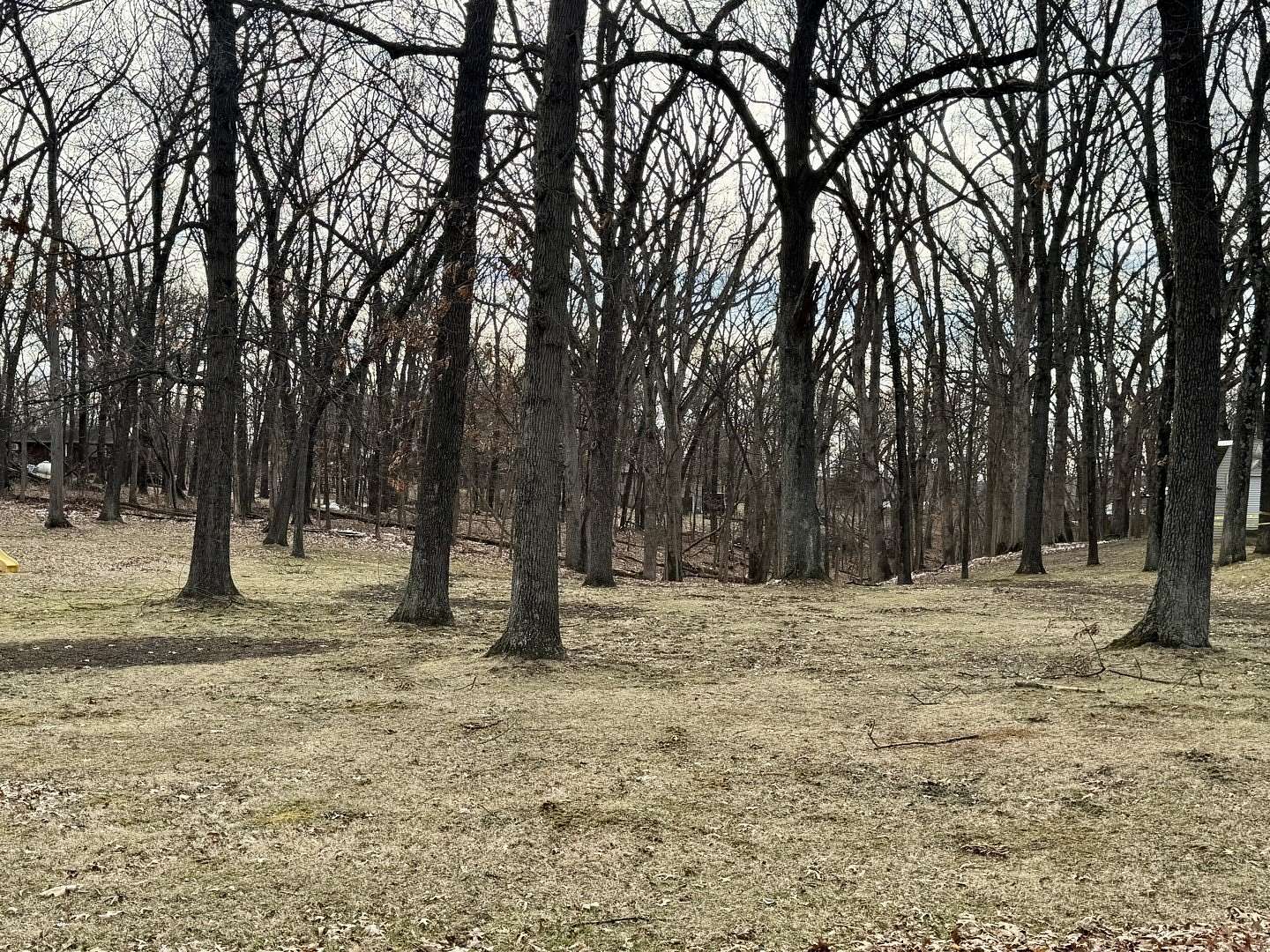 Residential Land for Sale in Putnam, Illinois