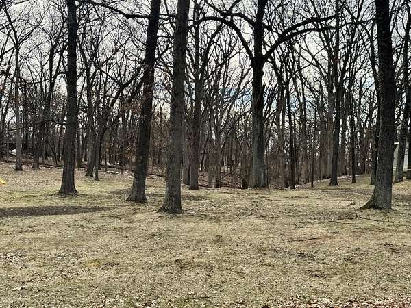 Residential Land for Sale in Putnam, Illinois