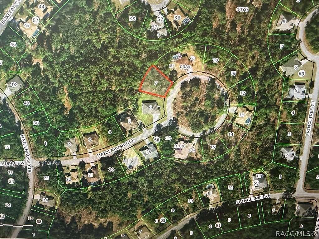 0.28 Acres of Land for Sale in Homosassa, Florida