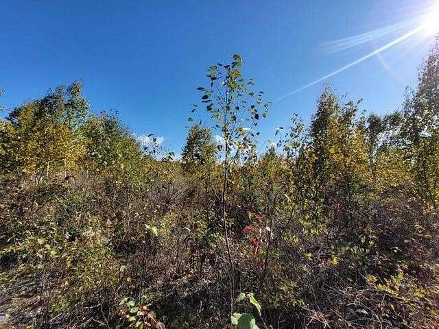 20.9 Acres of Mixed-Use Land for Sale in Rogers City, Michigan