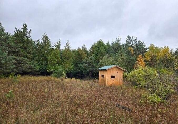 19 Acres of Agricultural Land for Sale in Millersburg, Michigan