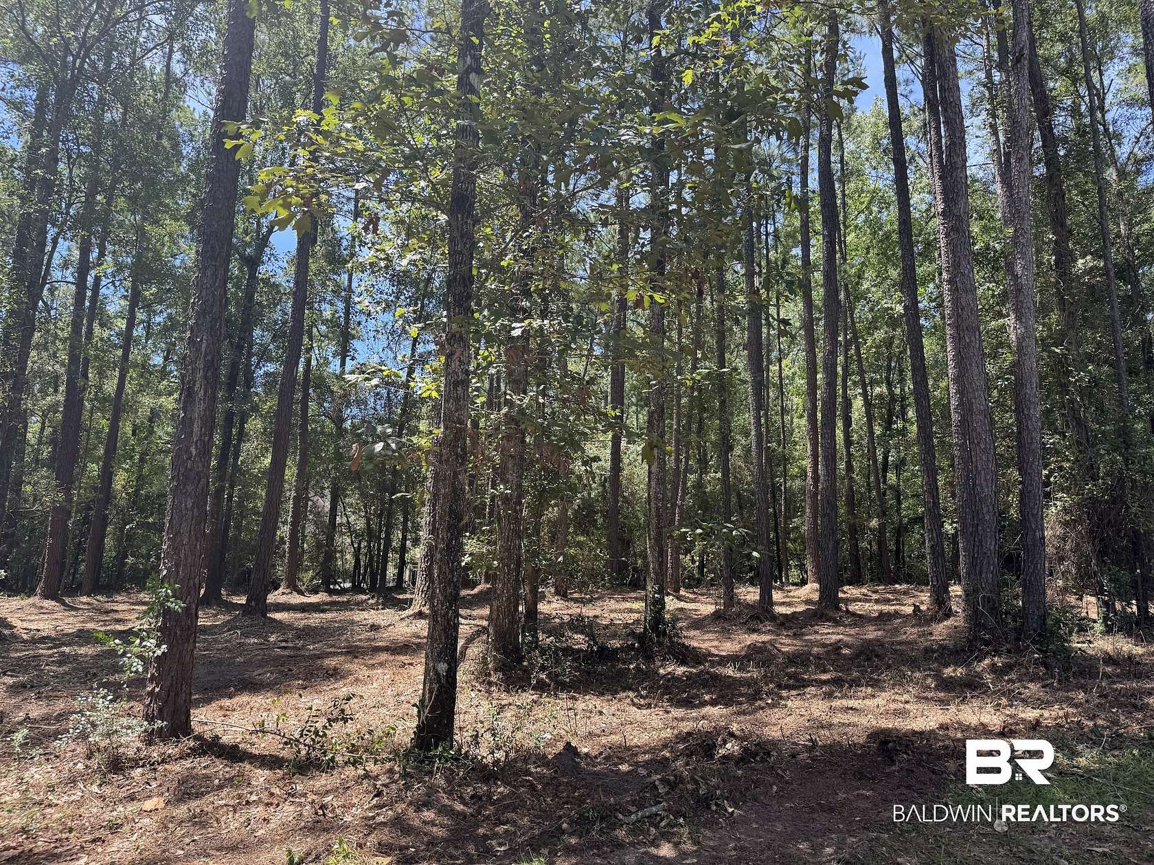 5.45 Acres of Residential Land for Sale in Spanish Fort, Alabama